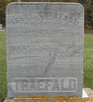 Fil:TraefaldAskel 02 net.jpg