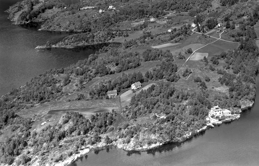 Olsnes 1955. Ved sjøen til høgre ligg eigedomen Pax (bnr. 10).  Foto: Widerøe’s Flyveselskap A/S. 
