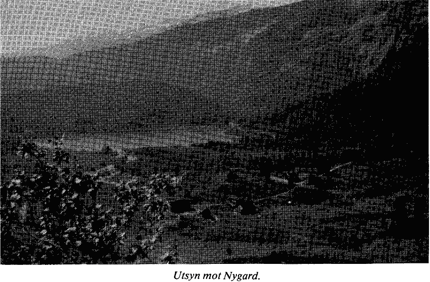 Fil:Nygard 01.gif