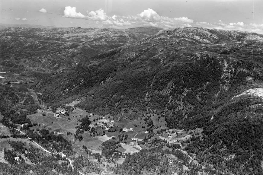 Vassdal 1960. Frå venstre bnr. 1, 2, 7 og 9. Bnr. 4 i framgrunnen mellom bnr. 7 og 9. Foto: Widerøe’s Flyveselskap A/S. 
