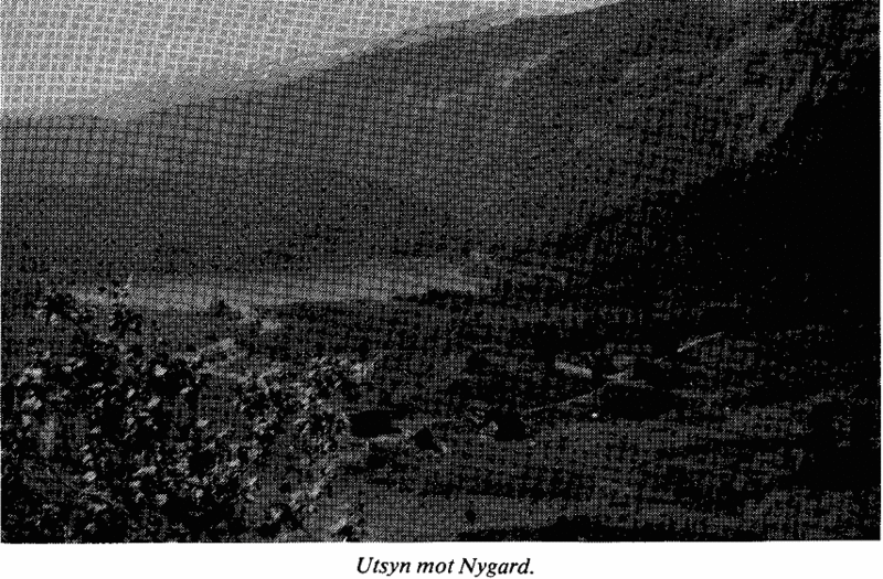 Fil:Nygard 01.gif